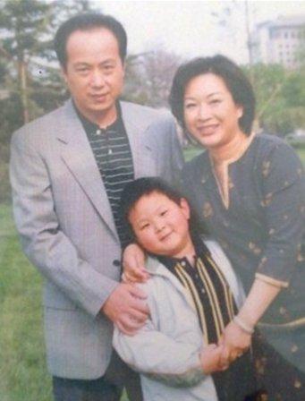 罗京逝世18年妻子嫁富商,罗京去世11年妻子携子改嫁富商