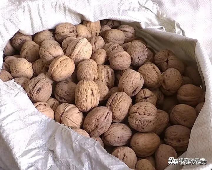 田园农场生态农业发展,许昌果牧香家庭农场