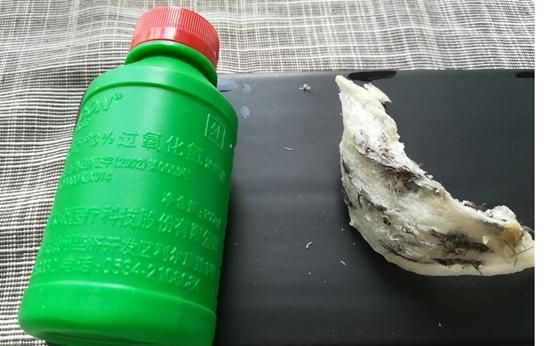 你一定要知道的燕窝小知识,燕窝知识百答之基础篇