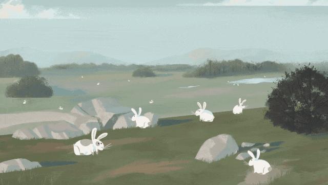 兔兔那么可爱为什么要吃兔兔呢,兔兔这么可爱为什么要吃兔兔