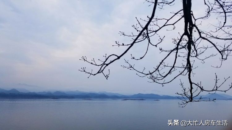 浙江千岛湖月光岛,千岛湖月光岛白天游玩攻略