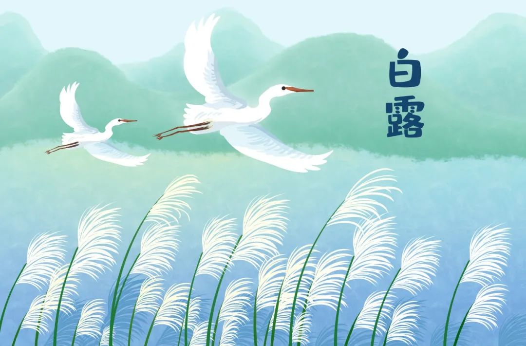 白露节气最好的诗句,关于白露的诗词有哪些