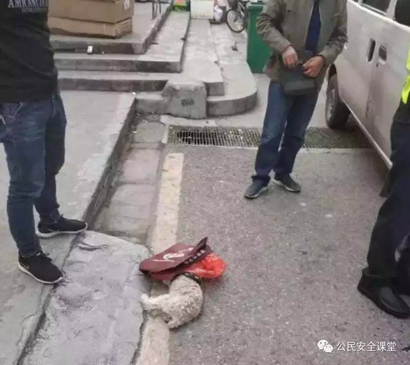 开车撞到宠物需要赔吗,开车撞到宠物如何解决