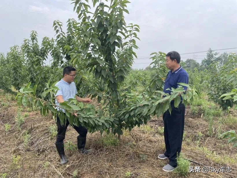 7天3000公里,宝马x57000公里发现烧机油