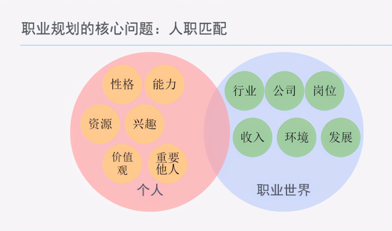 电商运营的职业规划,个人未来的职业规划