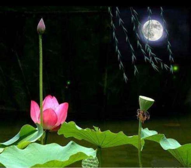 吆喝中国独有的叫卖方式,卖啥吆喝啥是什么意思