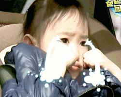 宠物羊奶粉推荐红黑测评,宠物羊奶粉口碑最好的前十名测评