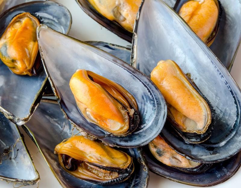 比眼镜蛇毒强的剧毒,比眼镜蛇毒强12倍的虫子