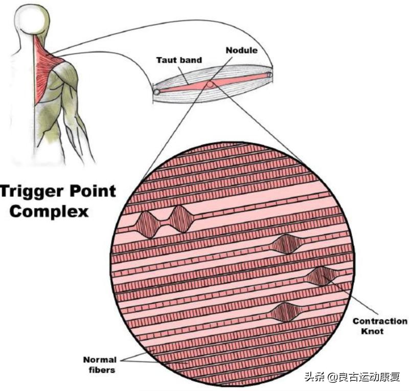 26张图教你提高效率,30张治愈效果图