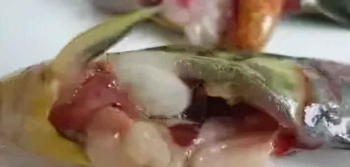 鱼“烂身”难治疗！防治关键在这几步