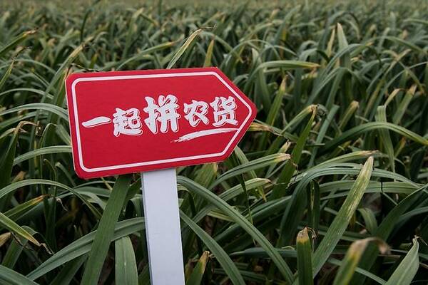 拼多多详情页视频尺寸是多少,拼多多详情页图片尺寸多少为最佳