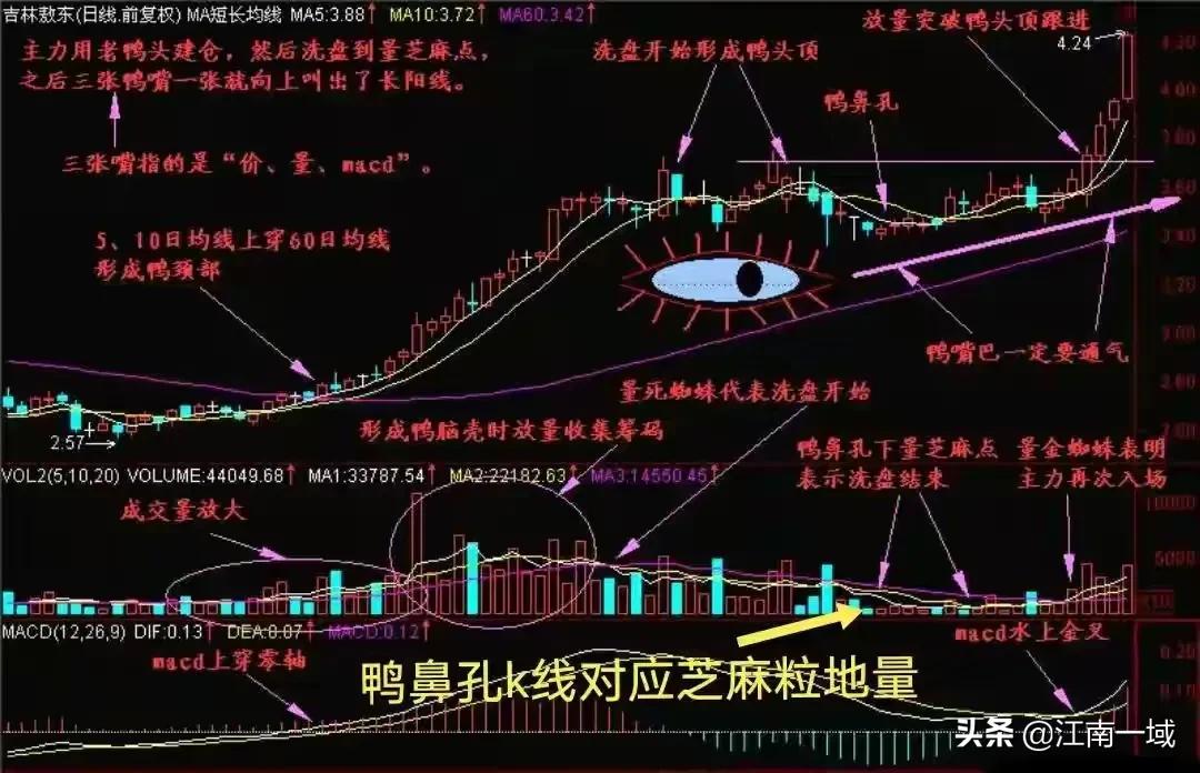 龙回头趋势跟庄直播,炒股战法龙回头详解大全