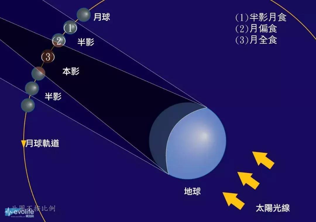 “血月见，妖孽现”丨2019年的这颗红月亮，送给北美~