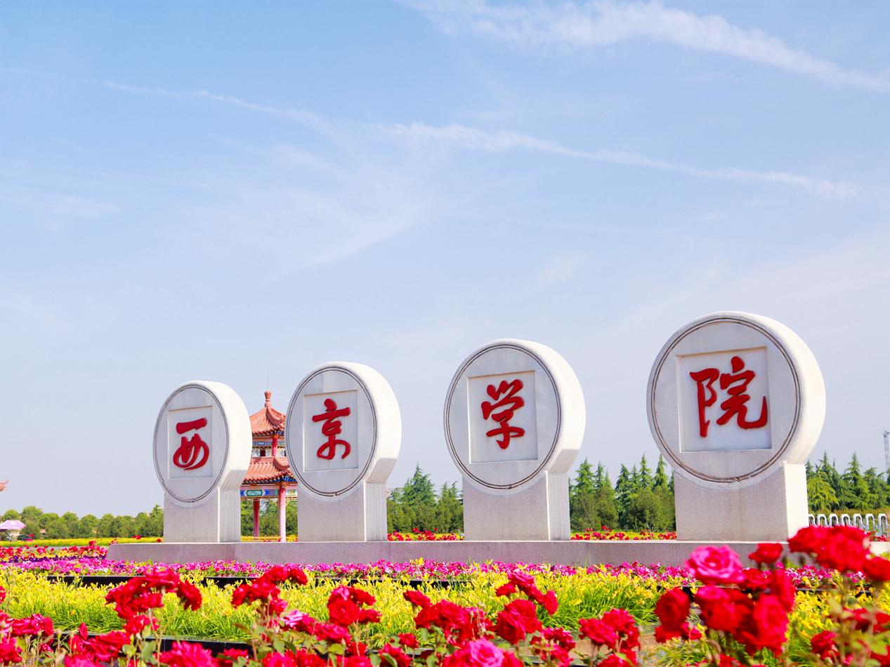 双一流民办大学,双一流大学的出路