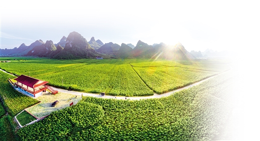 克难攻坚步铿锵老区河池焕新颜