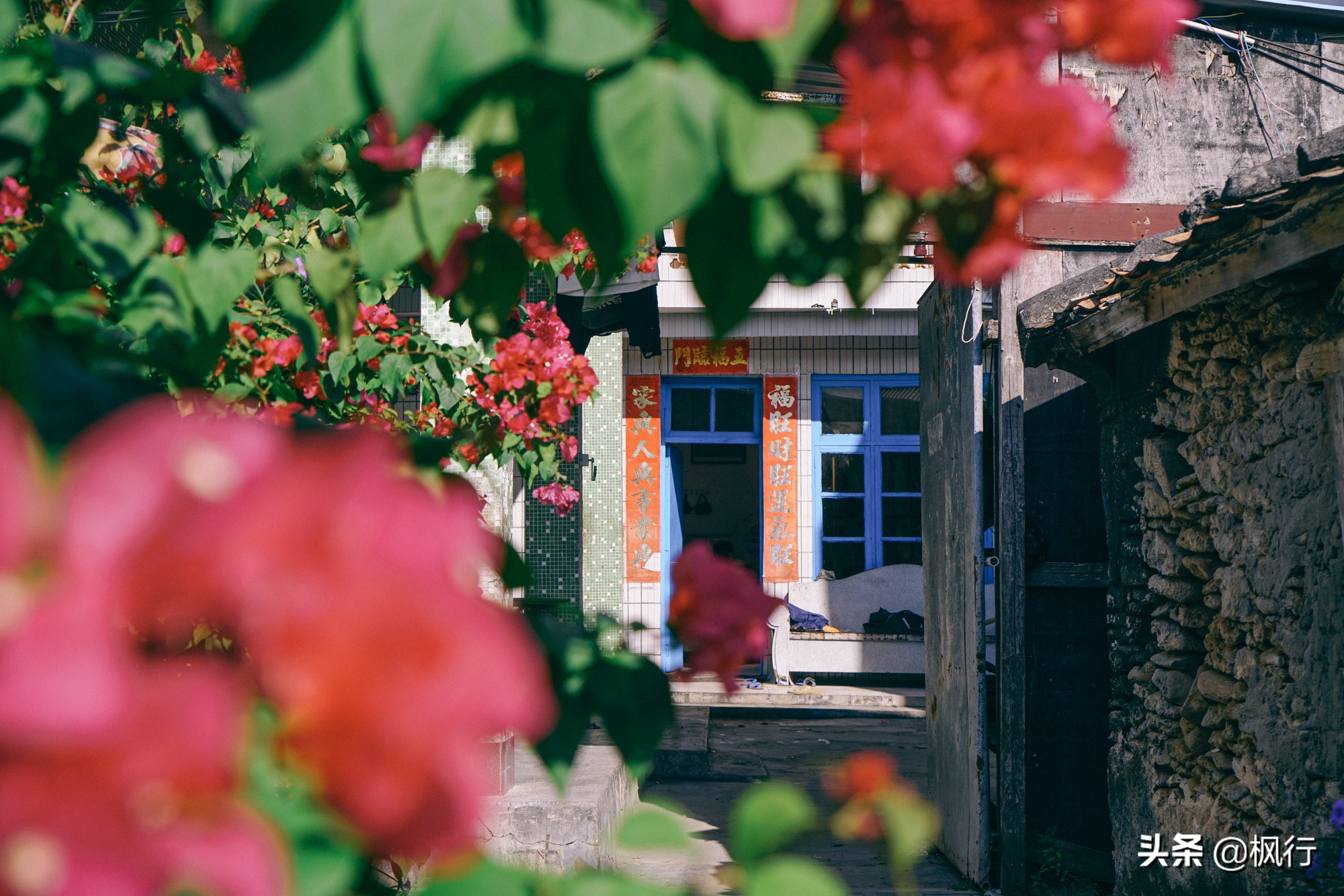 被猴子袭击，门票昂贵，拍照被轰，被我全程吐槽的三亚到底值不值