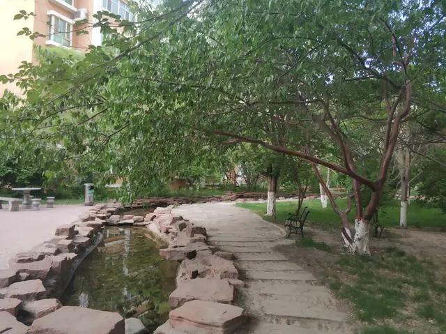绿地城二期绿化乌鲁木齐,乌鲁木齐中海万锦公馆绿化环境
