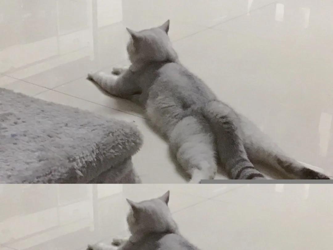 在闲鱼上怎么找认识的人,闲鱼上找男朋友