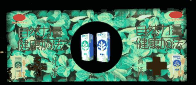 维他奶盘点,维他奶2024发展趋势