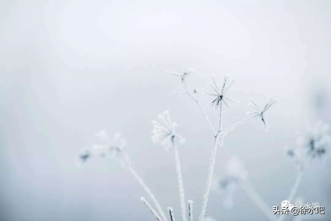 「徐水映像」换个角度看保定徐水,美