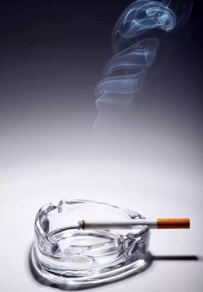 香烟的发展历程——昔日的“圣草”是变成如今成“毒草”的