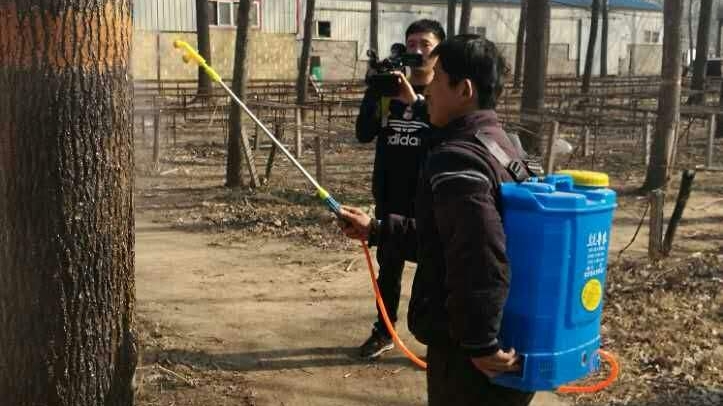 园林里面的虫子怎么治,苗木有虫子怎么办快速消灭