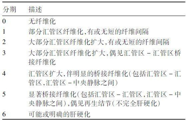 患有乙肝，一直不吃药也不治疗，最后会怎样？