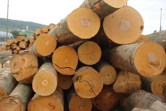 玩木头的乐趣,玩木头的18个基本知识