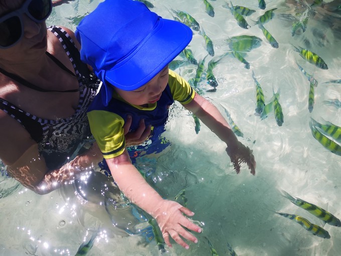 蛋岛蜜月岛,蜜月岛皮皮岛蛋岛一日游