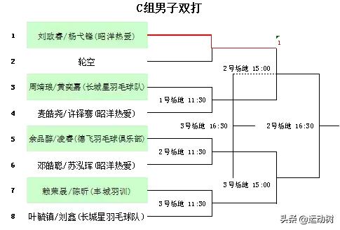 广东惠阳羽毛球单项赛,羽毛球惠阳区比赛