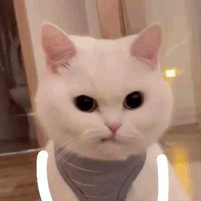 双十一零食推荐店铺,双十一火爆零食排行榜