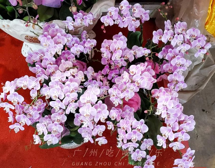 广州最值得购物的东西,广州购物攻略推荐