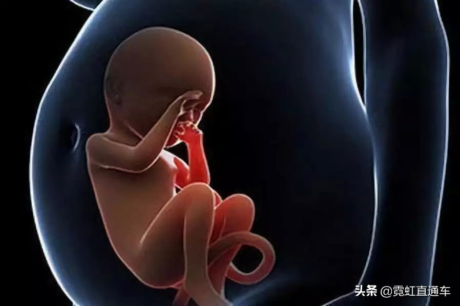 全球首例试管婴儿在哪国,日本试管婴儿有多少人