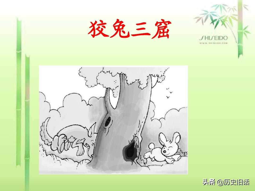 狡兔三窟及意义,狡兔三窟给人什么启示