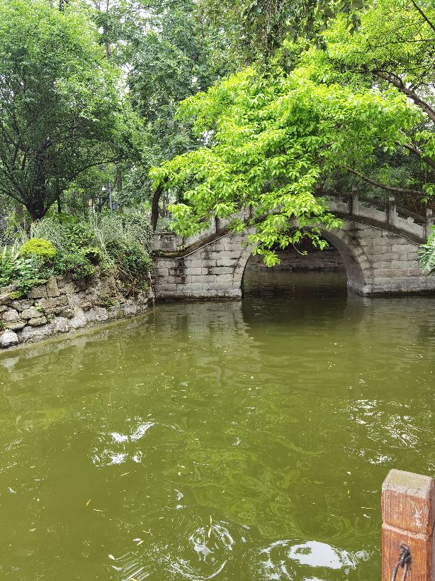 成都人民公园相亲,成都人民公园大叔