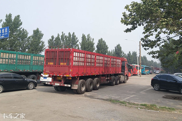 货车司机找活干哪个平台最靠谱,货车司机真实收入平台