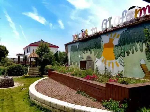 有机农业未来发展思路,有机农业的发展目标和成效