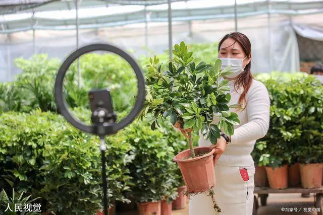 新手小白如何从零开始做直播带货,教你如何从零开始做直播带货