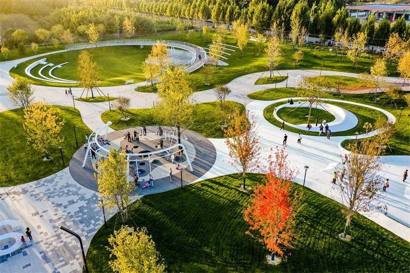 落下的星空-三叶公园未来生活体验场|DDON笛东