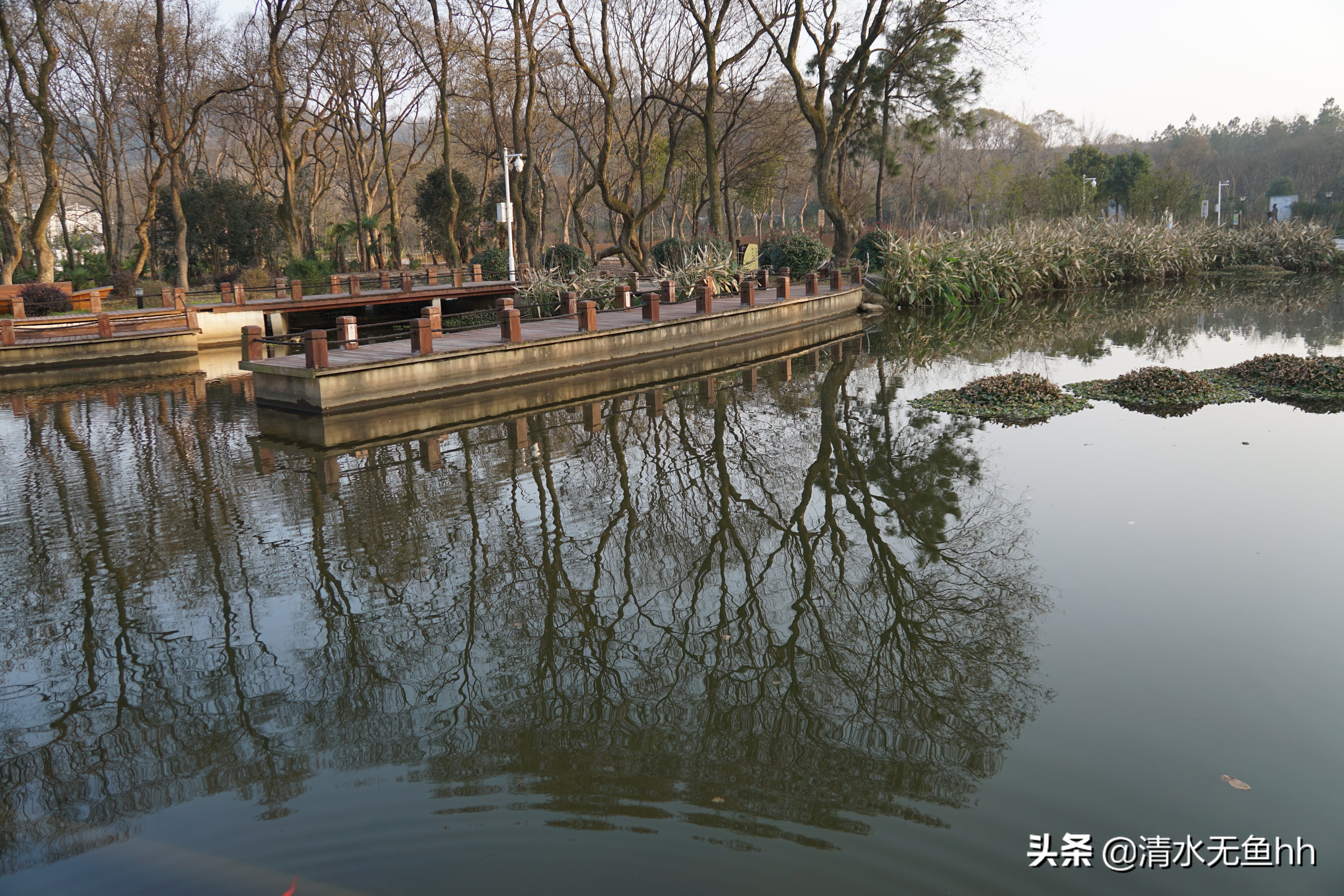 大别山游历,大别山之旅视频