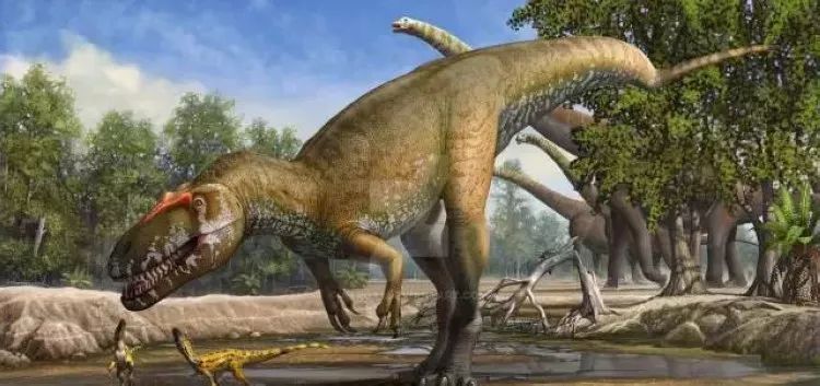 手工恐龙纸箱制作方法简单视频,抖音恐龙纸箱diy手工