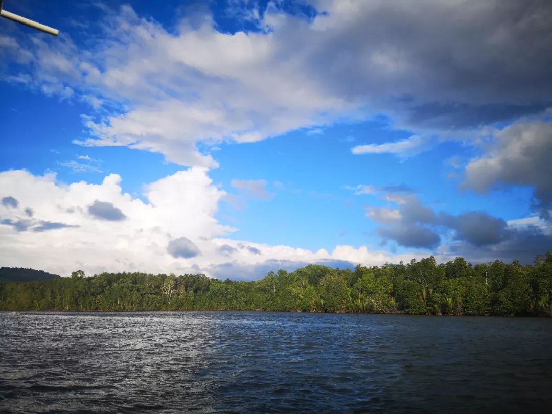 昨日重现2019完整版,昨日重现新加坡