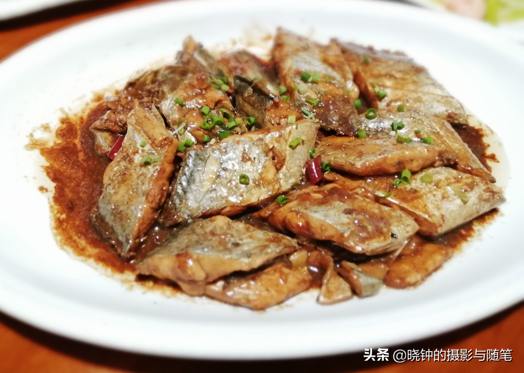 舟山带鱼好吃还是渤海带鱼好吃,舟山带鱼有什么特别