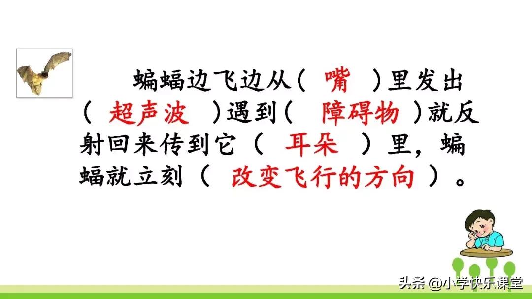 四年级上册语文蝙蝠和雷达课后题,部编版四年级上册语文蝙蝠和雷达