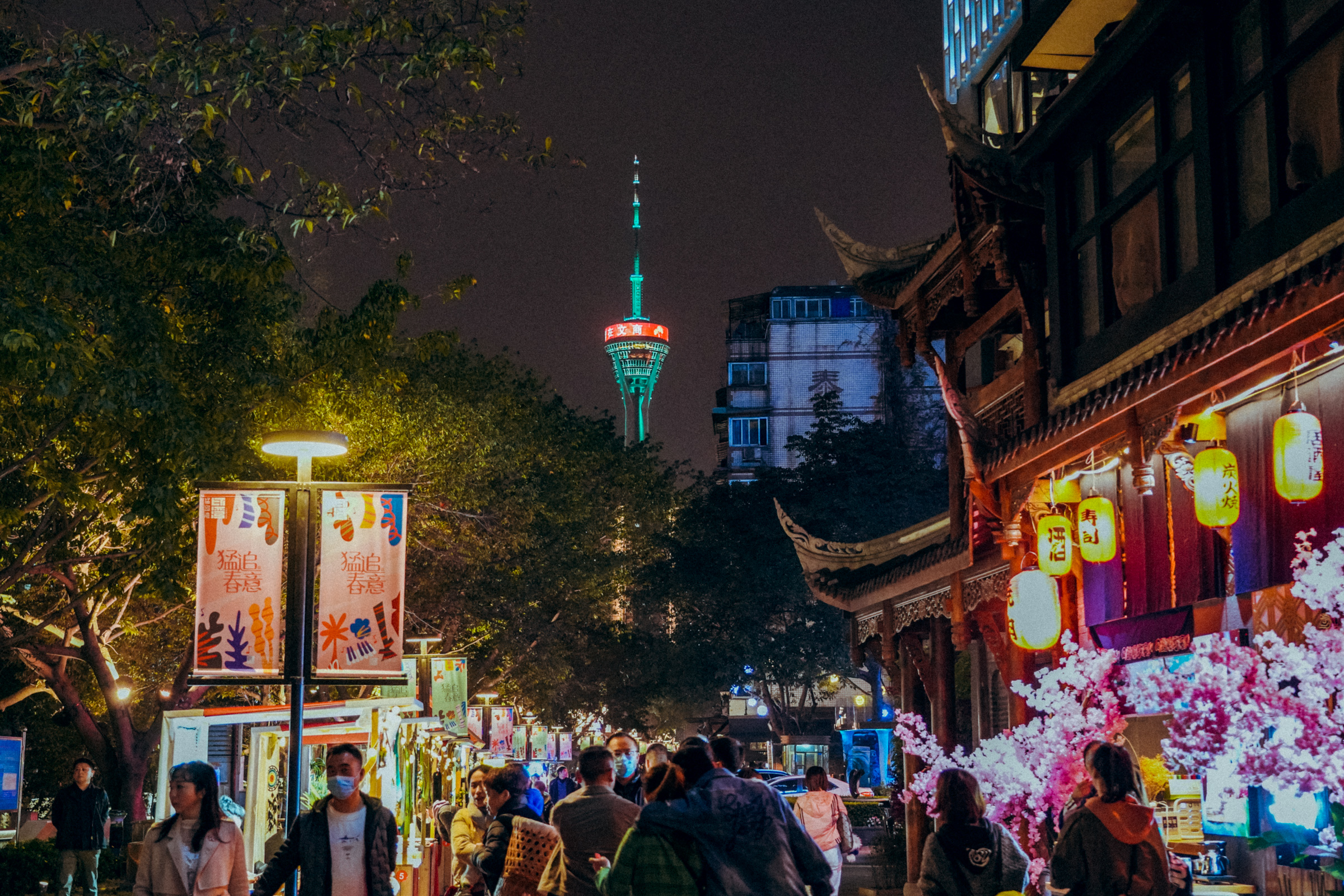 成都酒店大熊猫一日游,成都大熊猫繁育研究基地游玩攻略