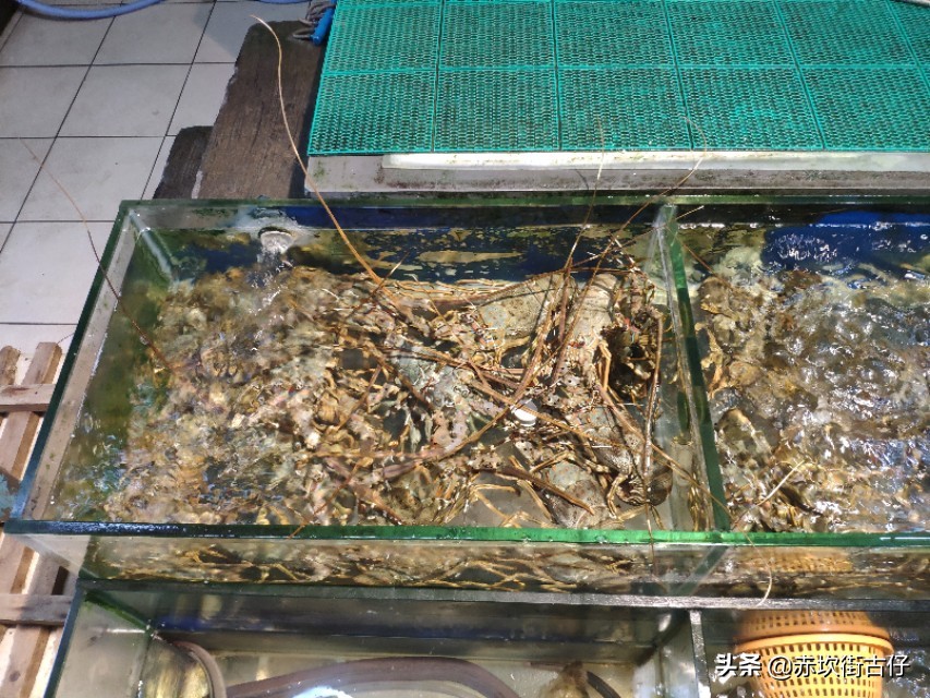 中国海鲜美食之都湛江虾类,中国海鲜美食之都湛江解说