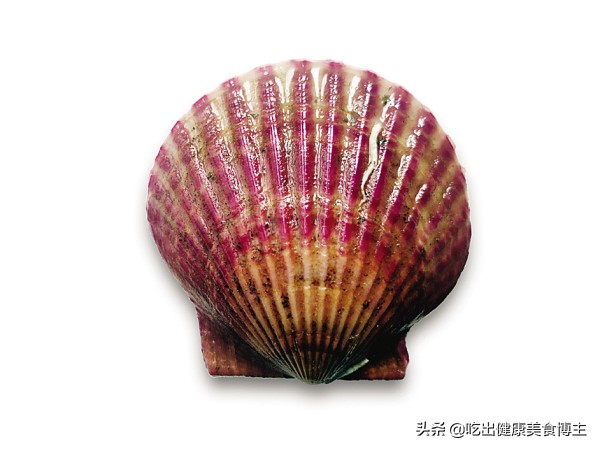 哪里的干贝最好吃最出名,干贝是哪种海鲜制成的