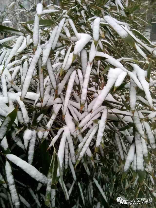 人人图文,人人贷最新事件进展