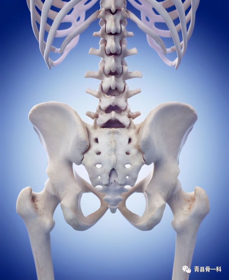 臀部上的骨头是什么？臀部痛都是因为什么原因导致的呢