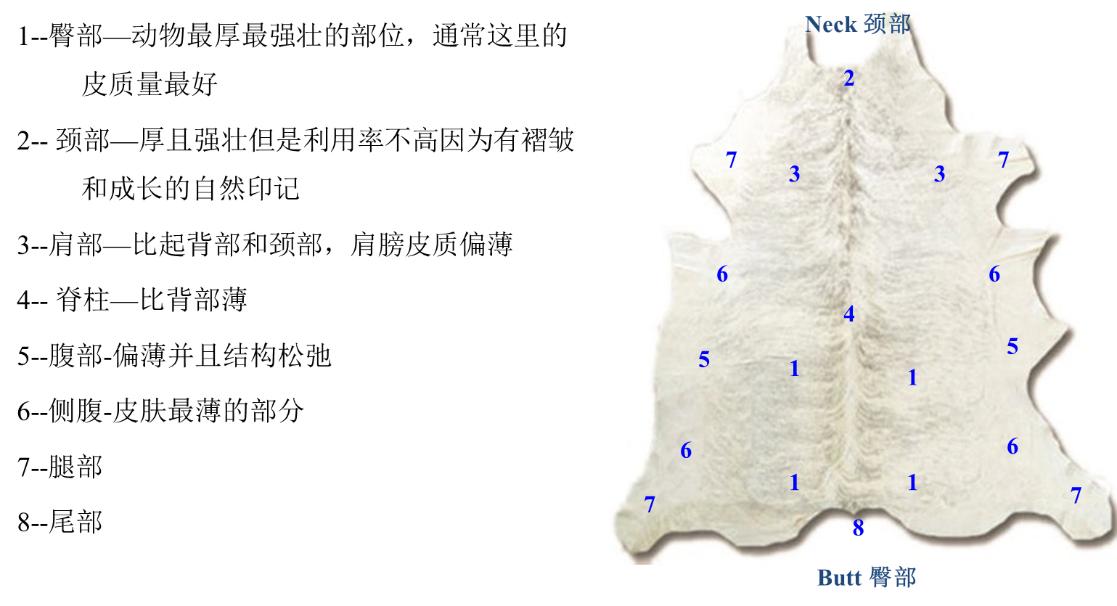 真皮座椅怎么介绍,座椅真皮构造